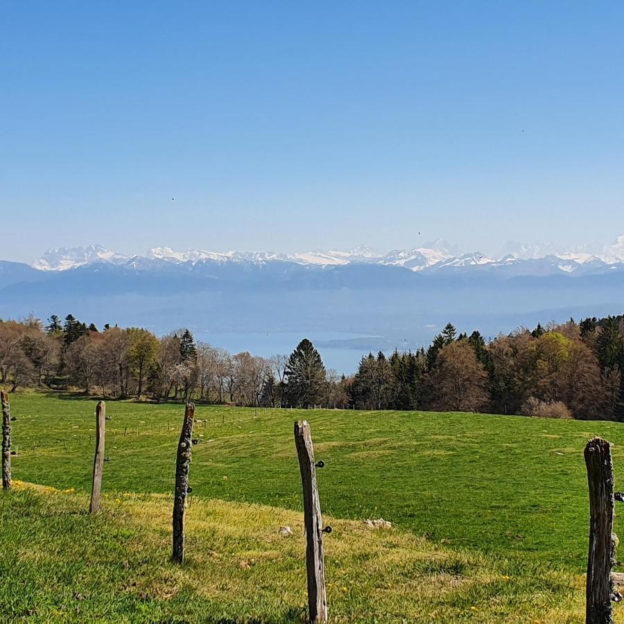 Residence Entre Monts Et Lac Nyon Zewnętrze zdjęcie